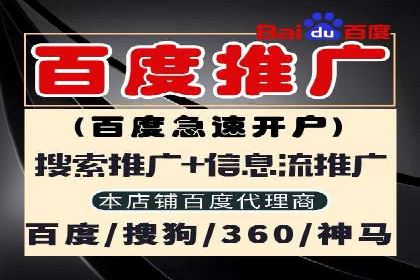 提高托管SEM竞价ROI的实战技巧